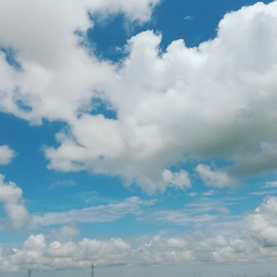 ５月下旬、寒暖の差が激しい日々が続いています