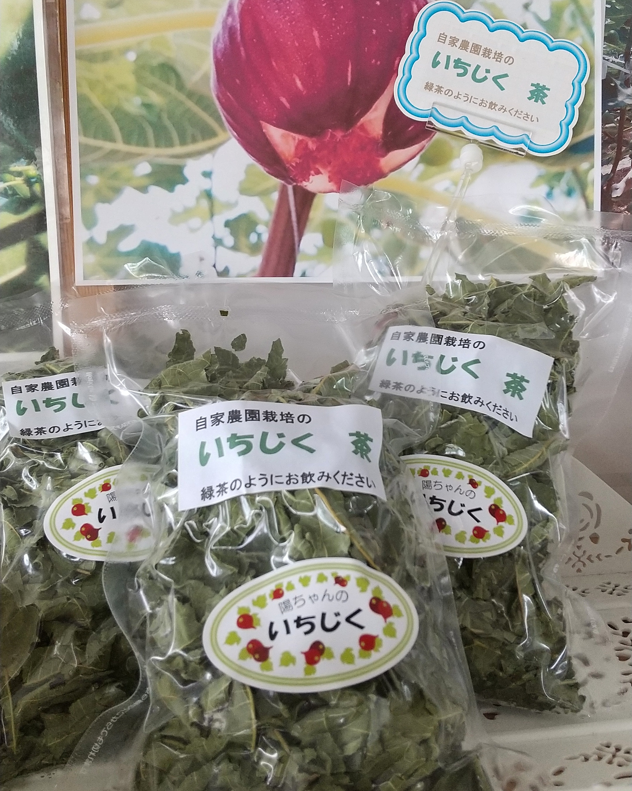 いちじくのお茶葉🍵 販売再開です！