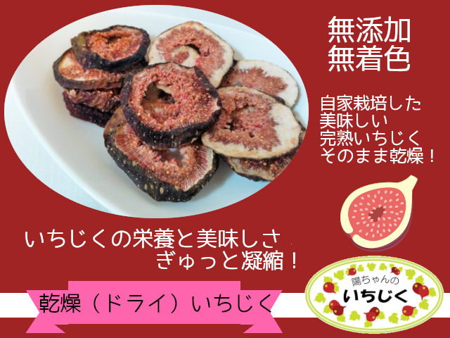 《商品紹介》旬の完熟いちじくの美味しさと栄養が凝縮されています！ドライいちじくはいかがしょうか？