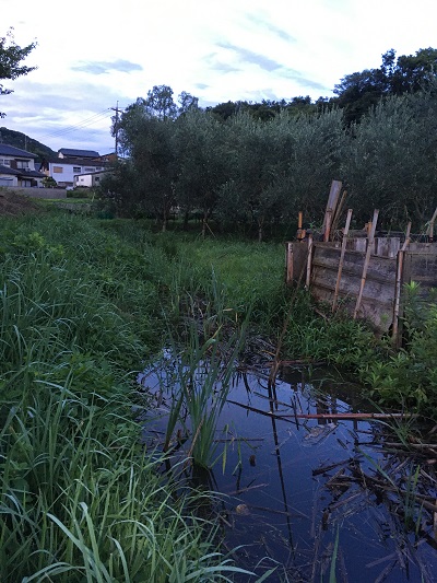 長雨の後