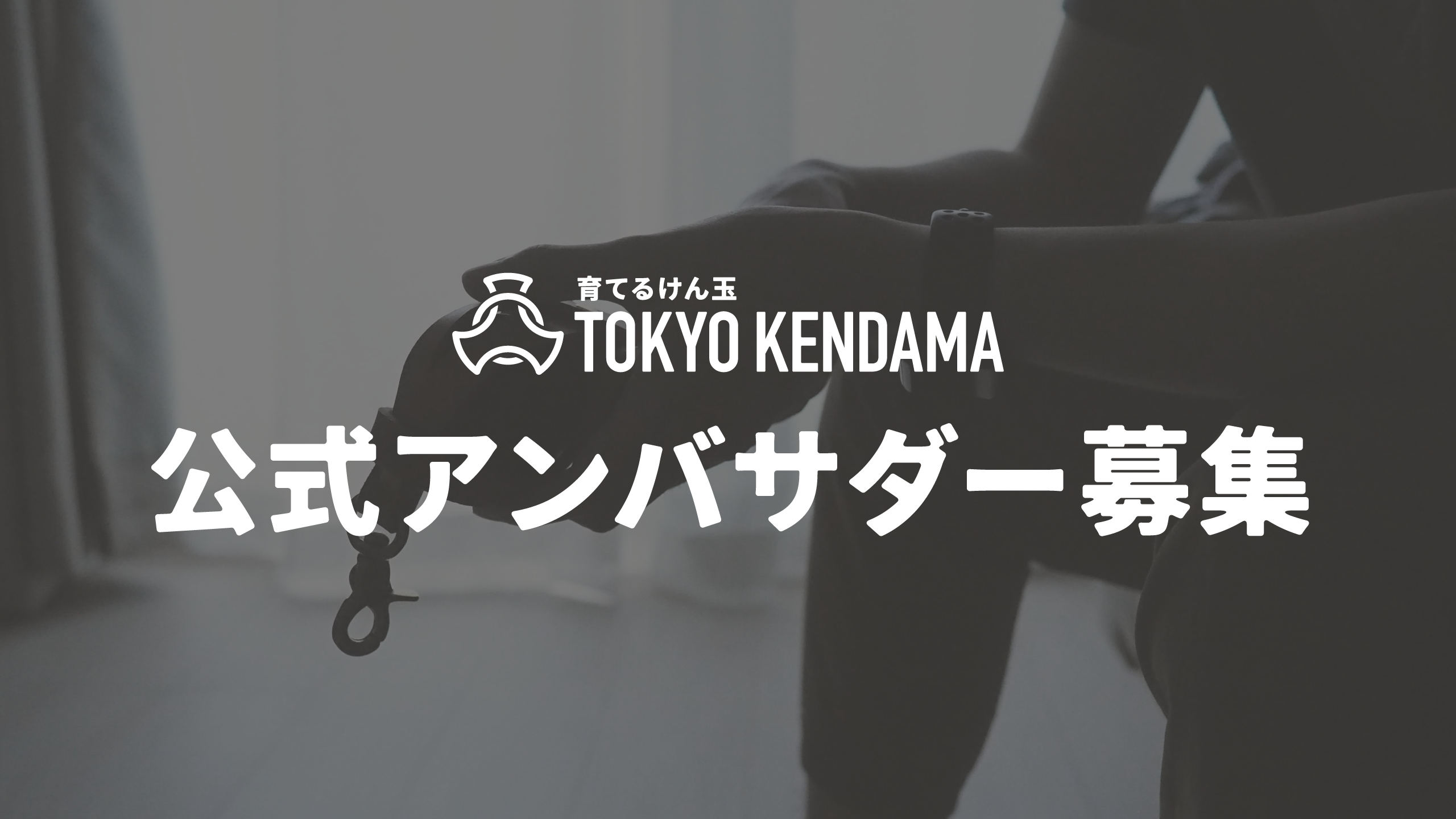 【受付停止中】TOKYO KENDAMA公式アンバサダー募集！