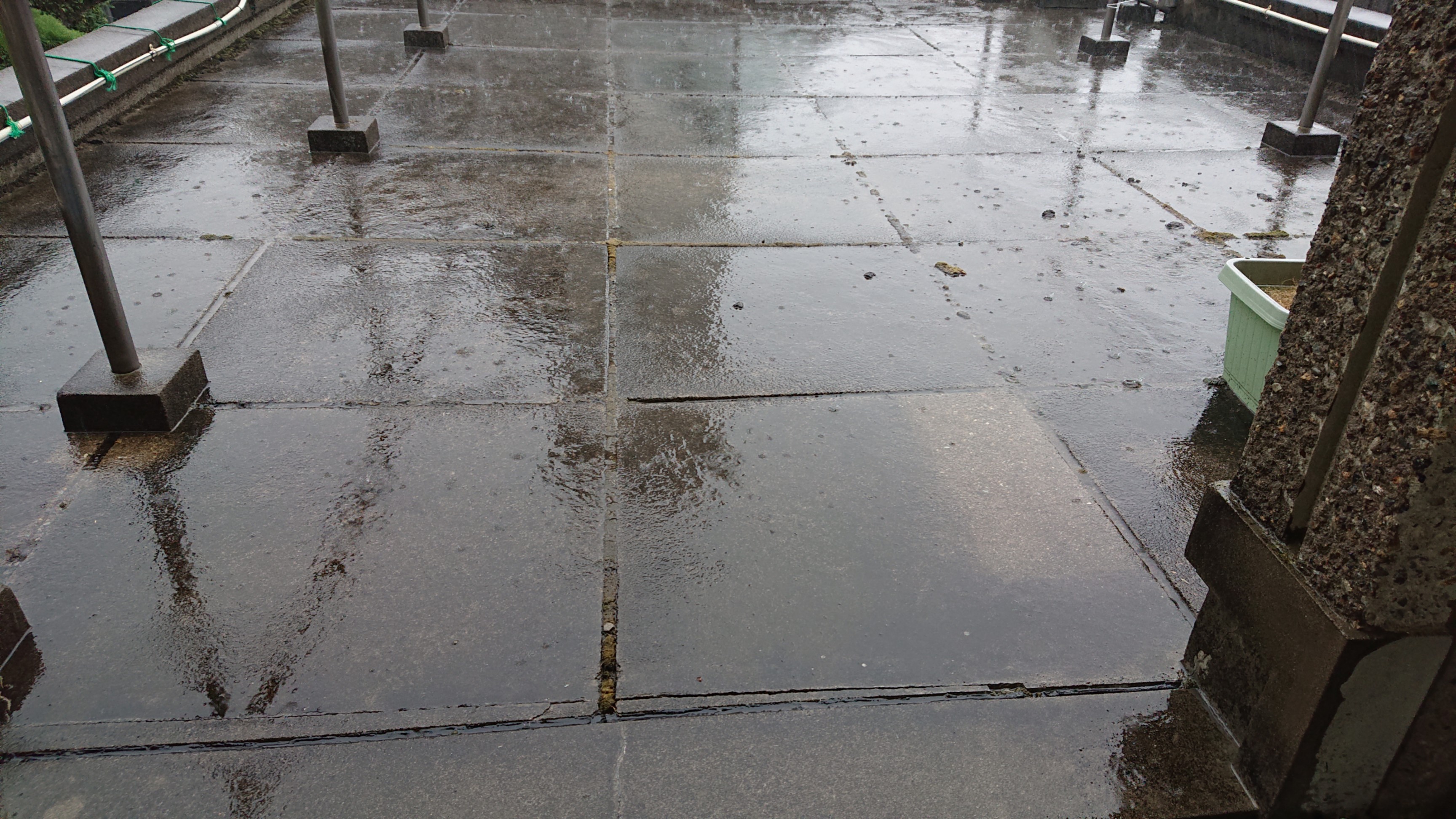 30数日ぶりの雨