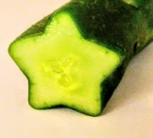 星のキュウリさま  販売開始です