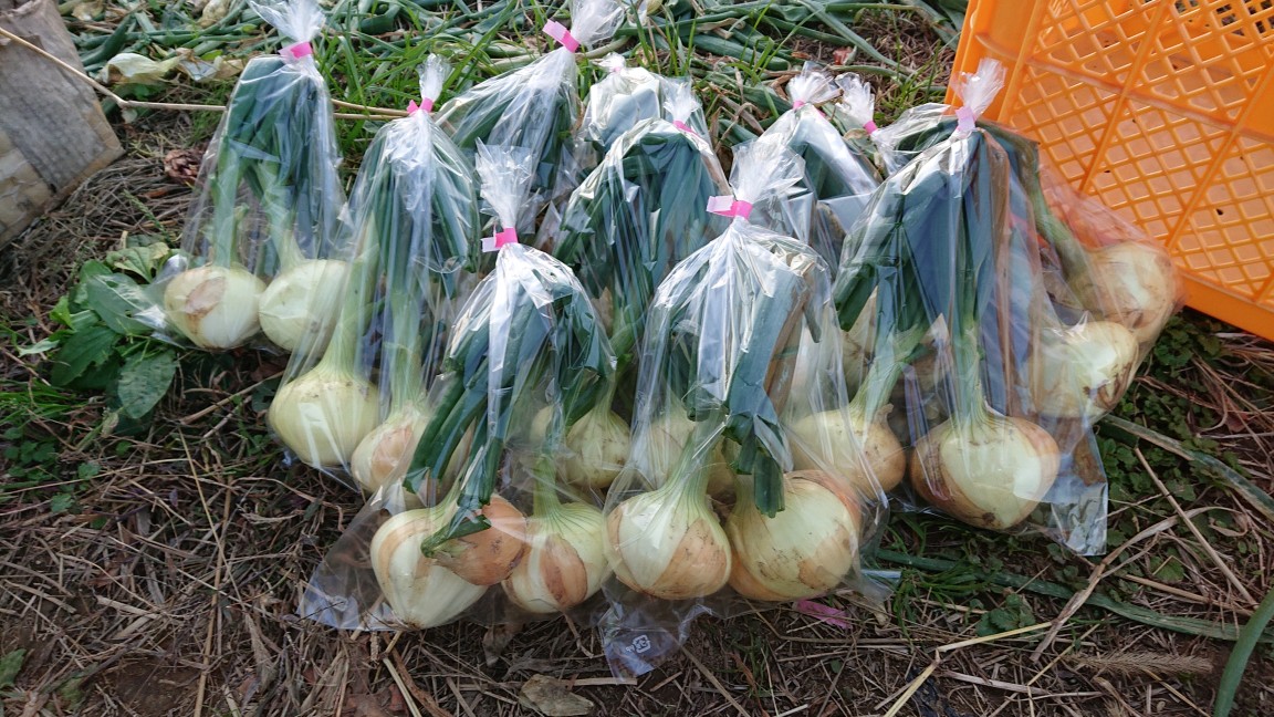 『とろたま』個人販売を始めます