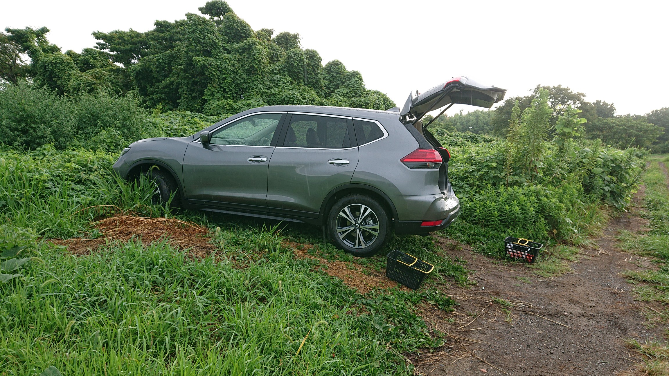4日連続の雨(^ー^)