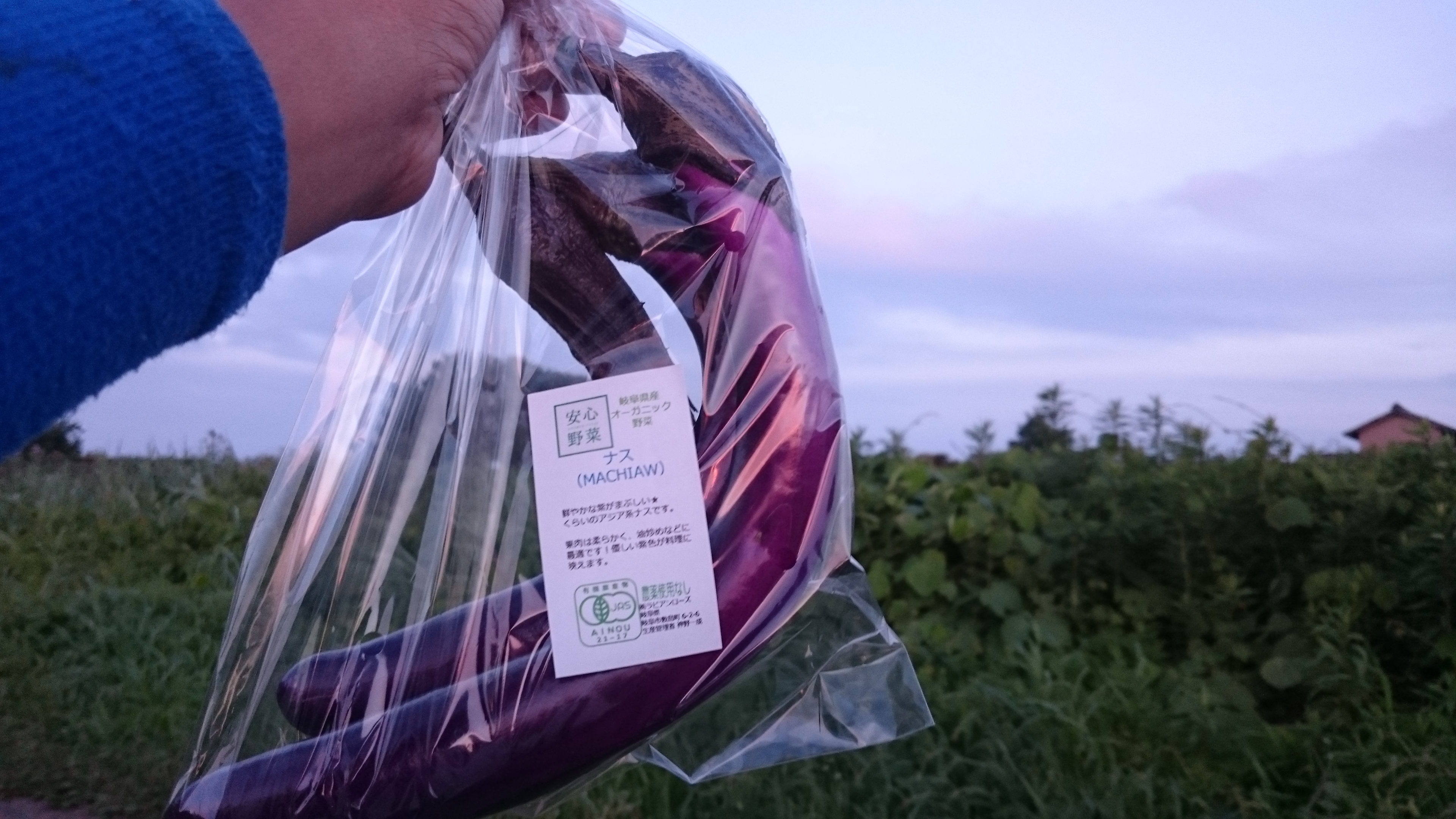 アジアンな茄子