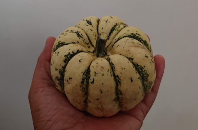 野菜紹介 カボチャ Sweet Dumpling オーガニック