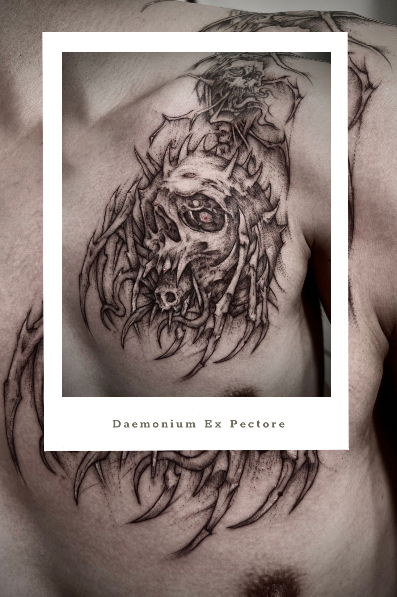 🌑 Petita Sancta No.xx ── Daemonium Ex Pectore