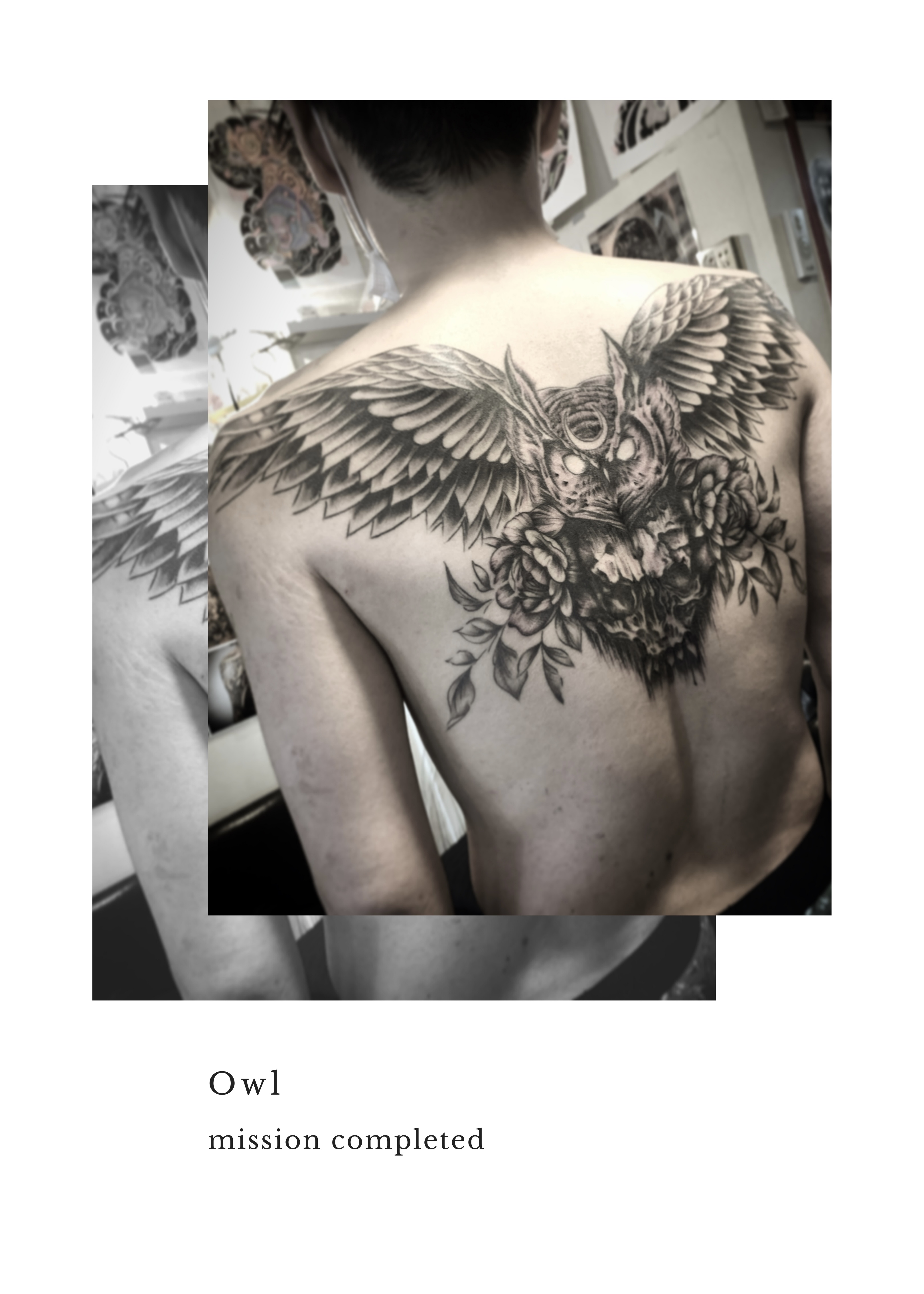 梟 🦉 Owl バックピース・フクロウタトゥー | 東京渋谷タトゥースタジオ 刺青師 渋谷伊彫