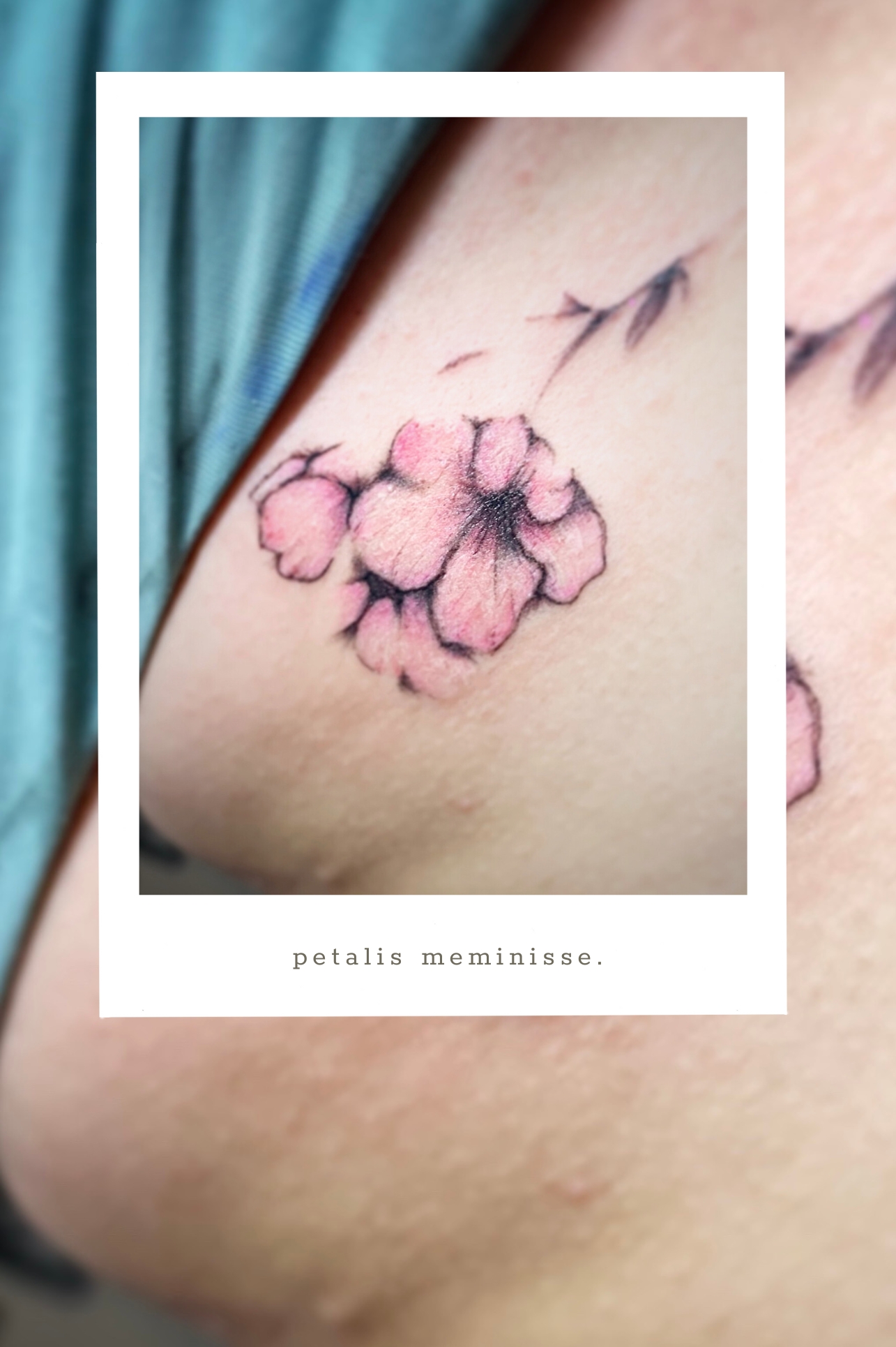 🌑 Petita Sancta No.36 ── 花びらを憶うミニマムタトゥー