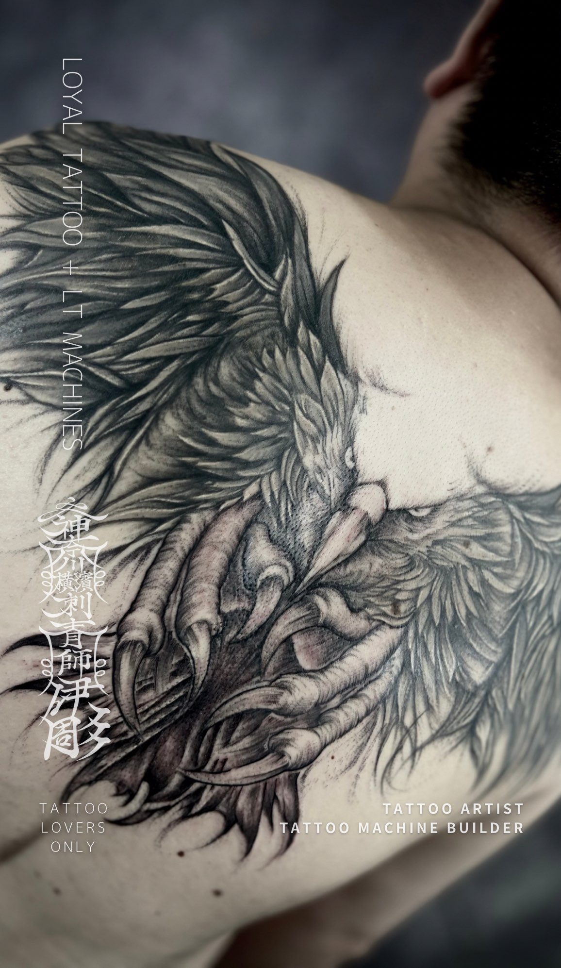 バックピースタトゥー / ハーフ 『 鷹 』カバーアップタトゥー | LOYAL TATTOO