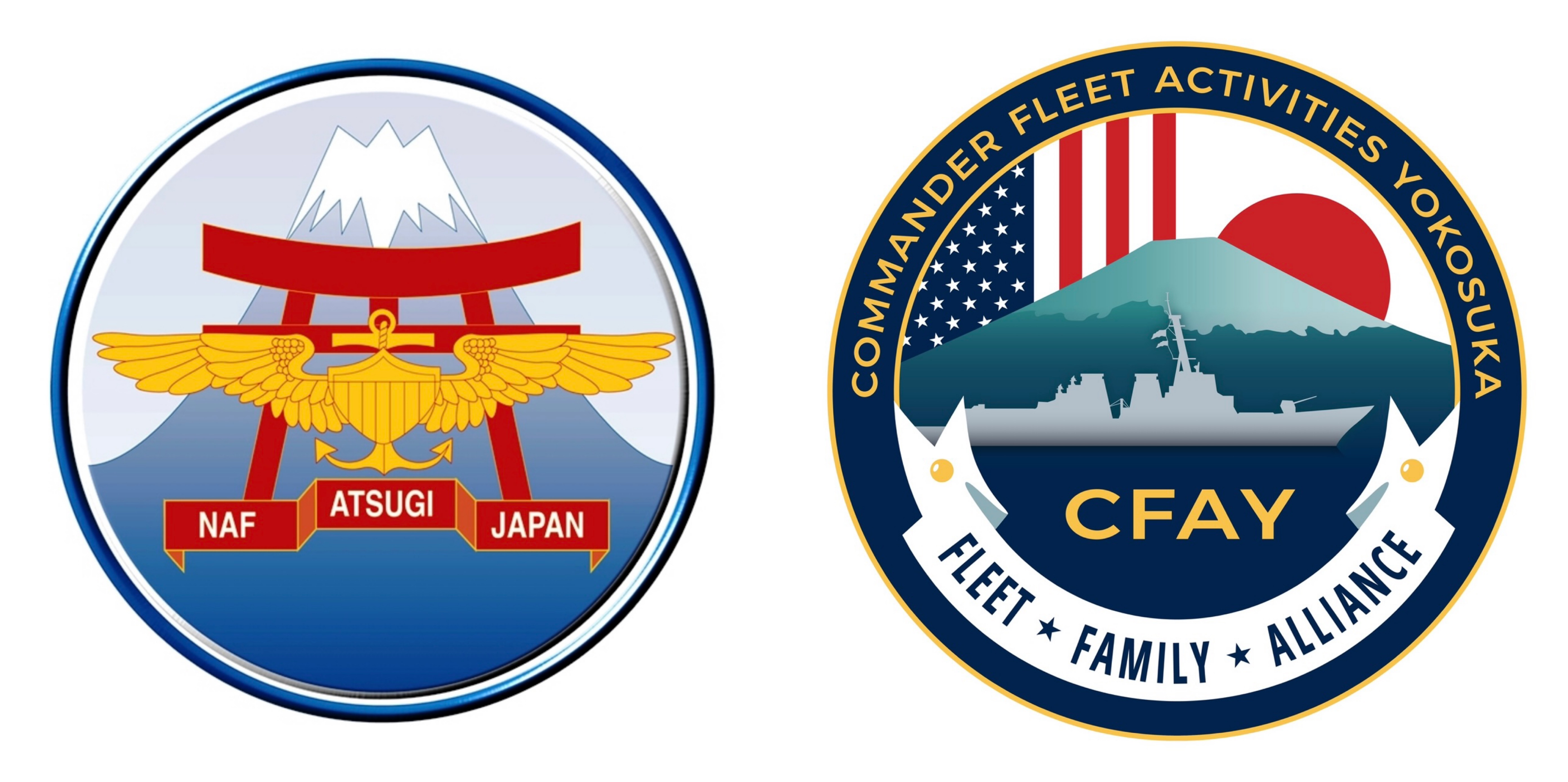 🏛️ LOYAL TATTOO Official Affiliations & Compliance