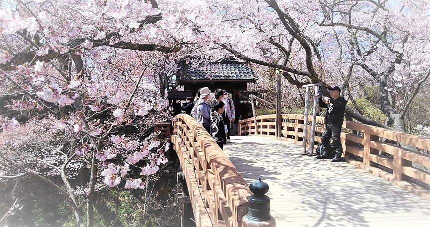 高遠城址公園さくら祭り
