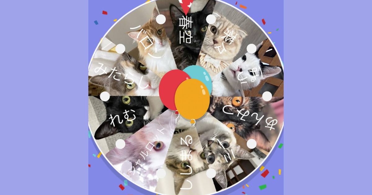 猫の宝石箱7代目モデルさん決定💎