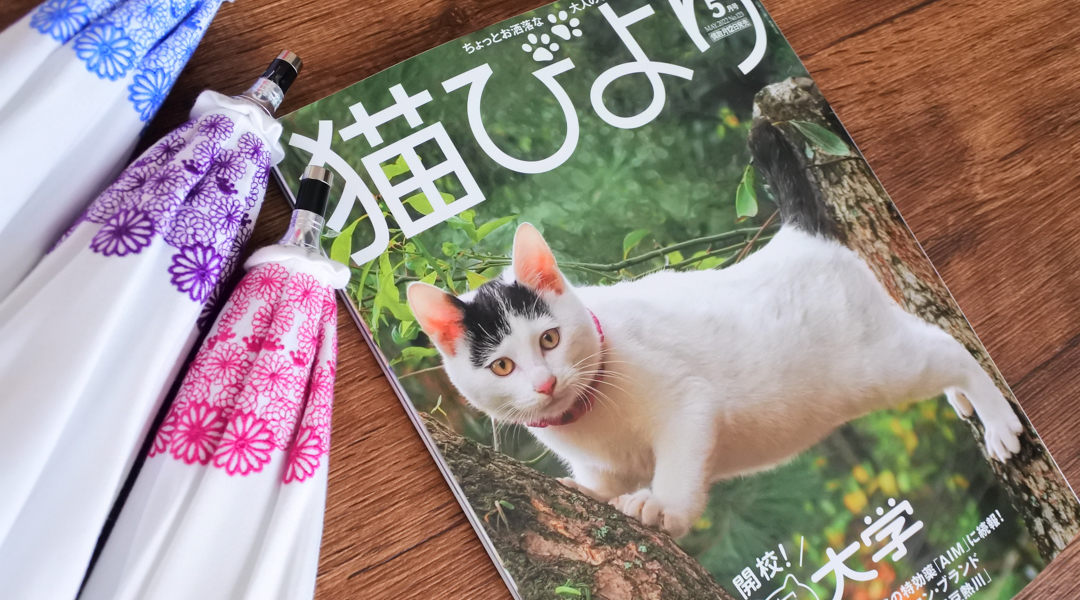 花咲く猫日傘が『猫びより』5月号に掲載されました