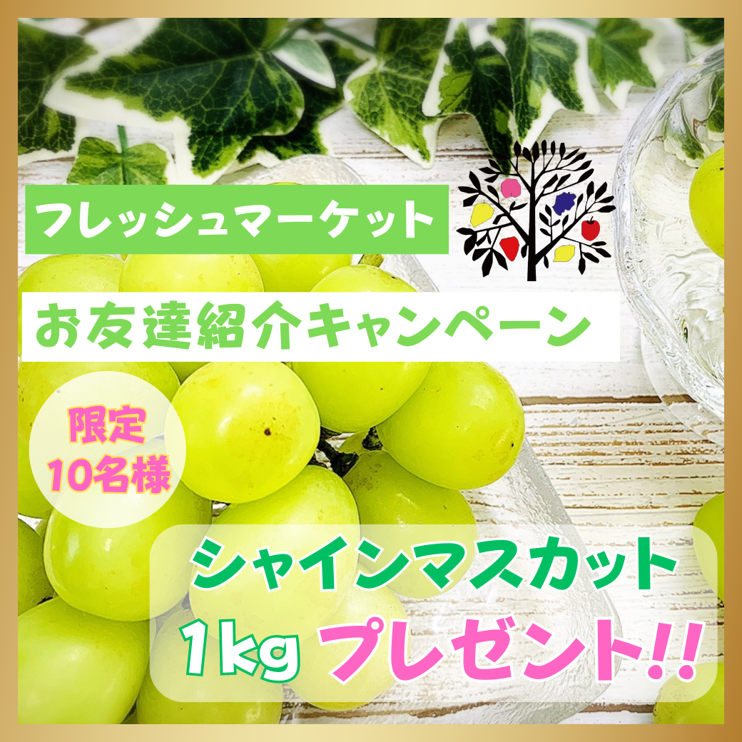 🎁【LINE友達限定プレゼントキャンペーン】🎁