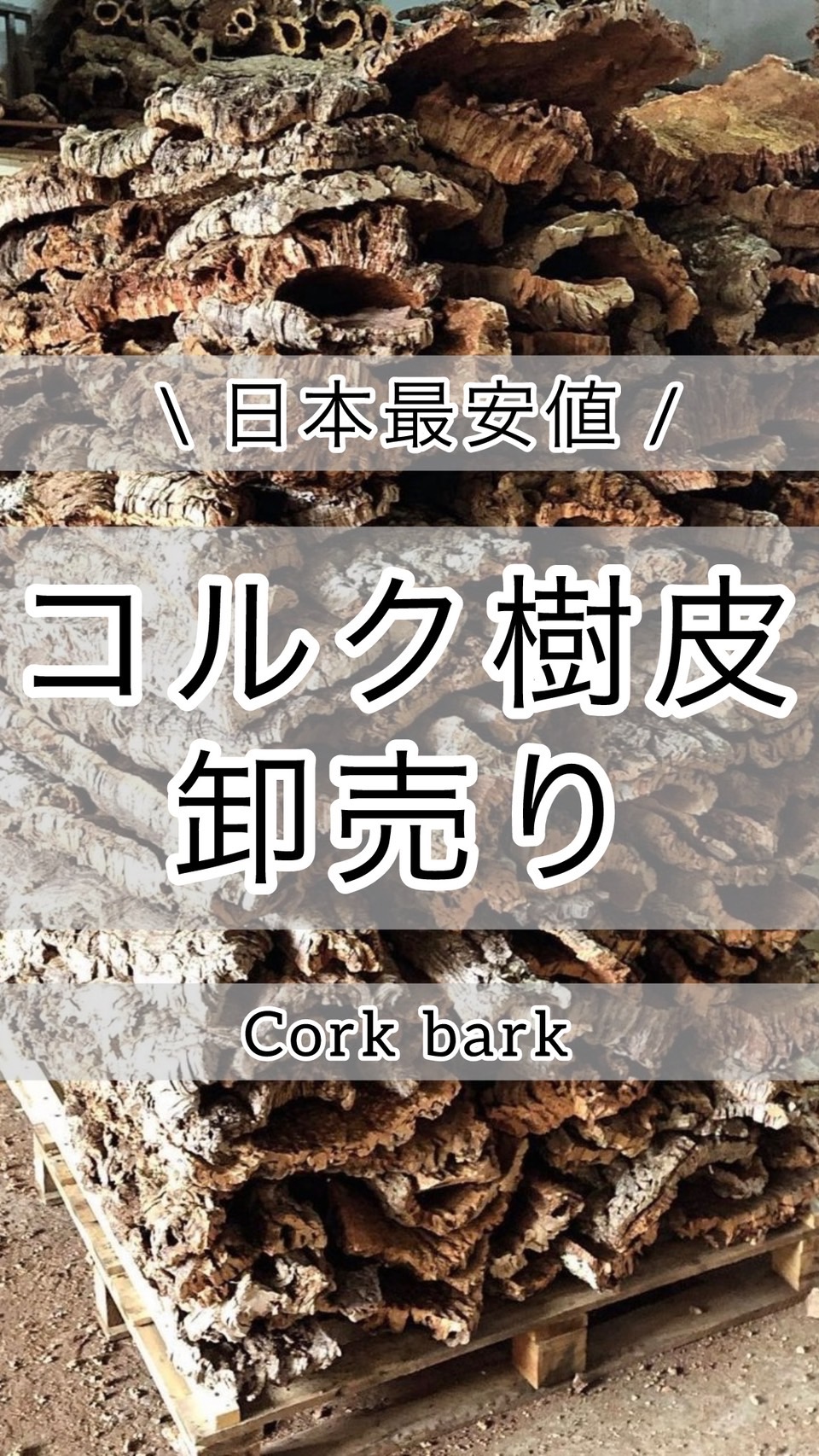 サステナブルな素材、コルク樹皮を活用しよう！！