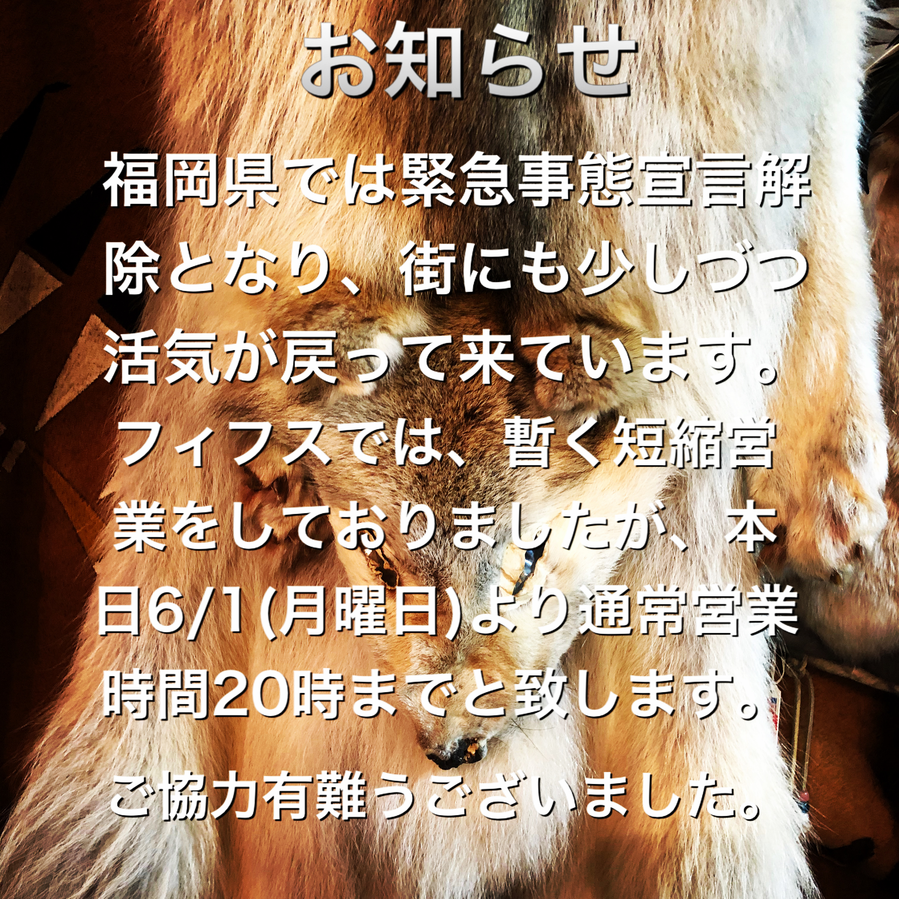 通常営業再開！