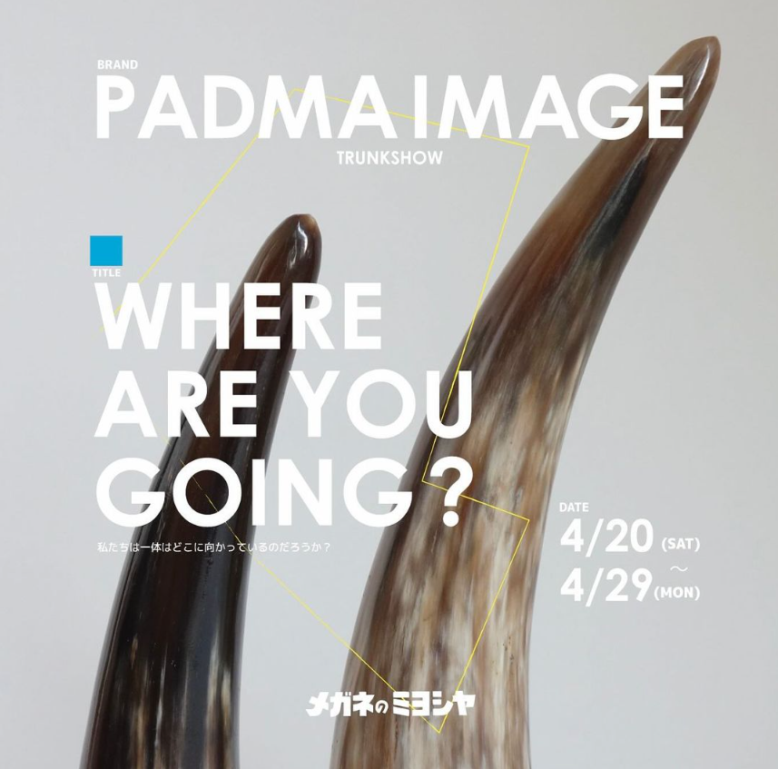 2024/4/20-29 PADMA IMAGE & N PRODUCT in 静岡