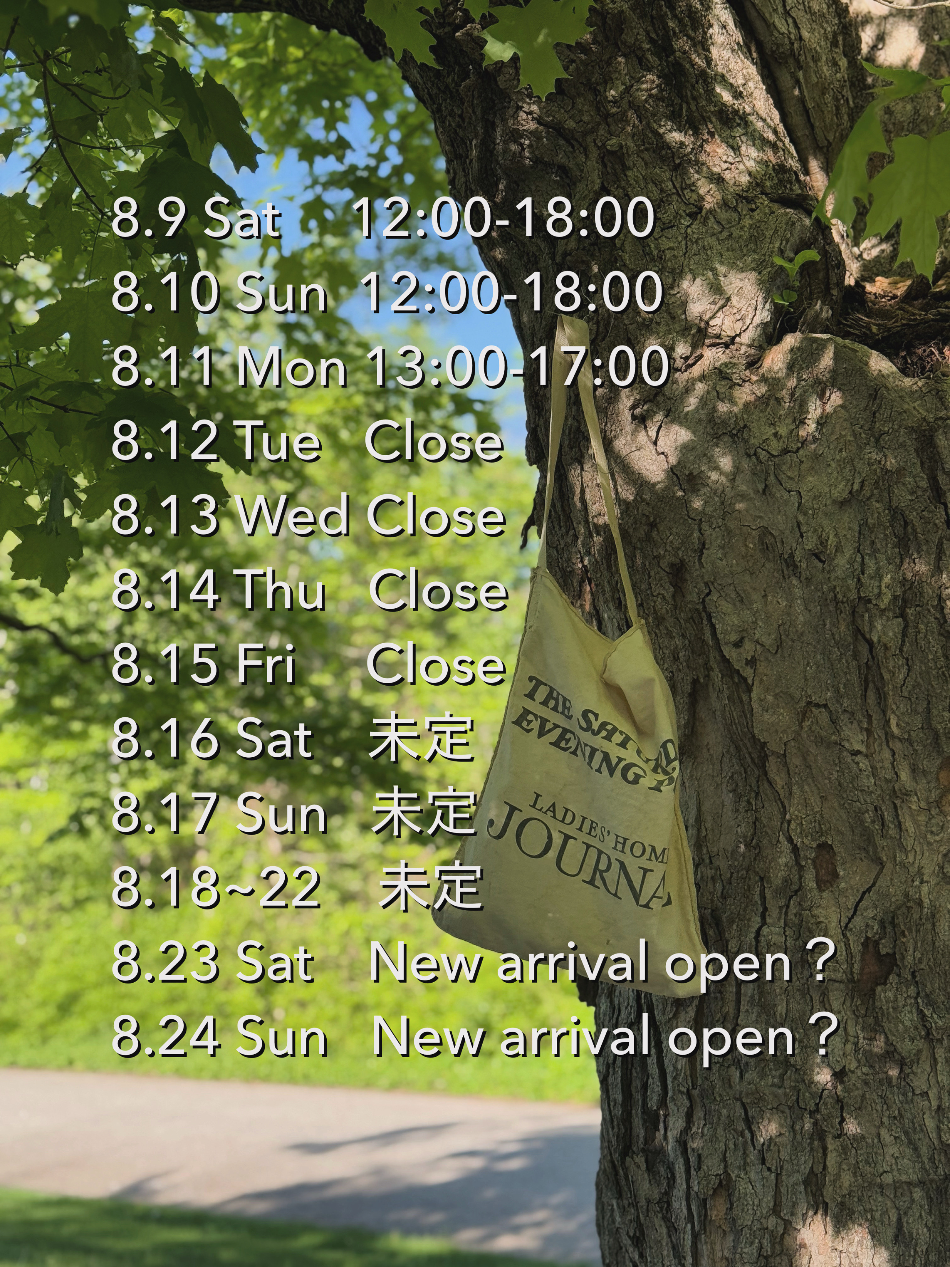 Schedule