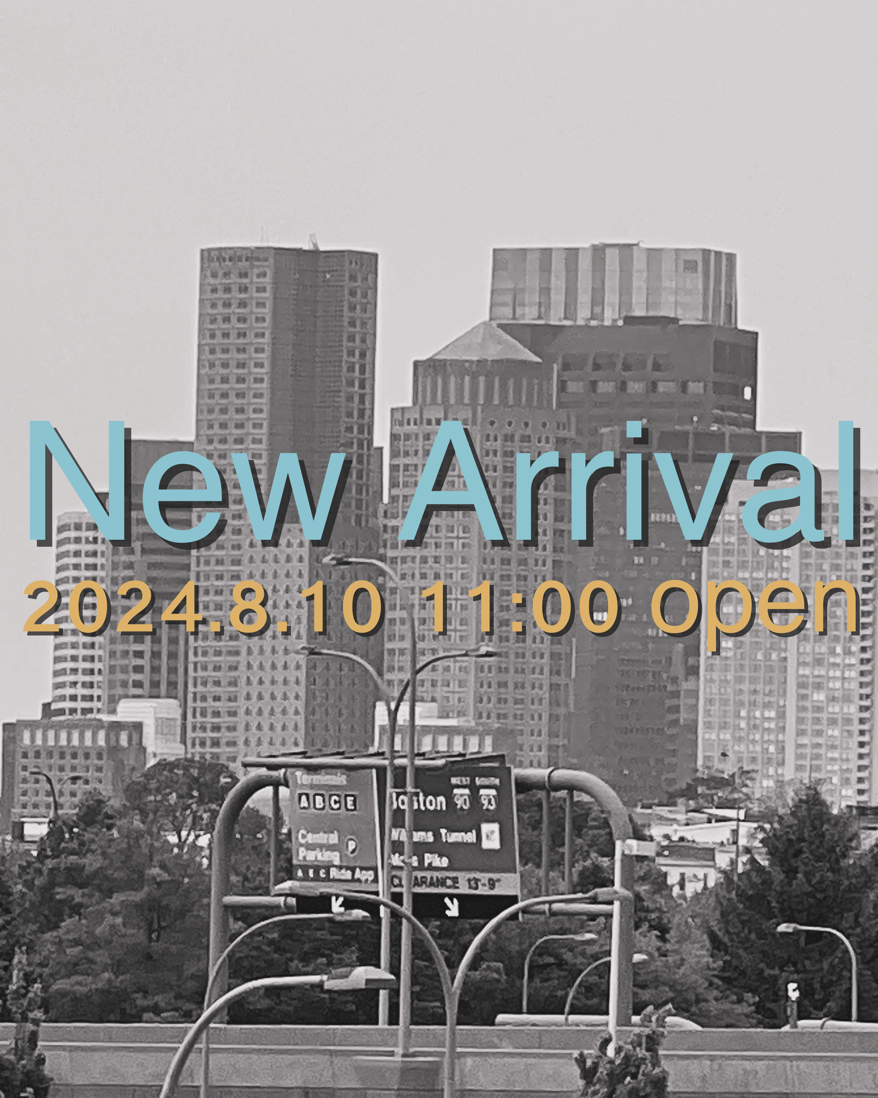 New Arrival 8.10