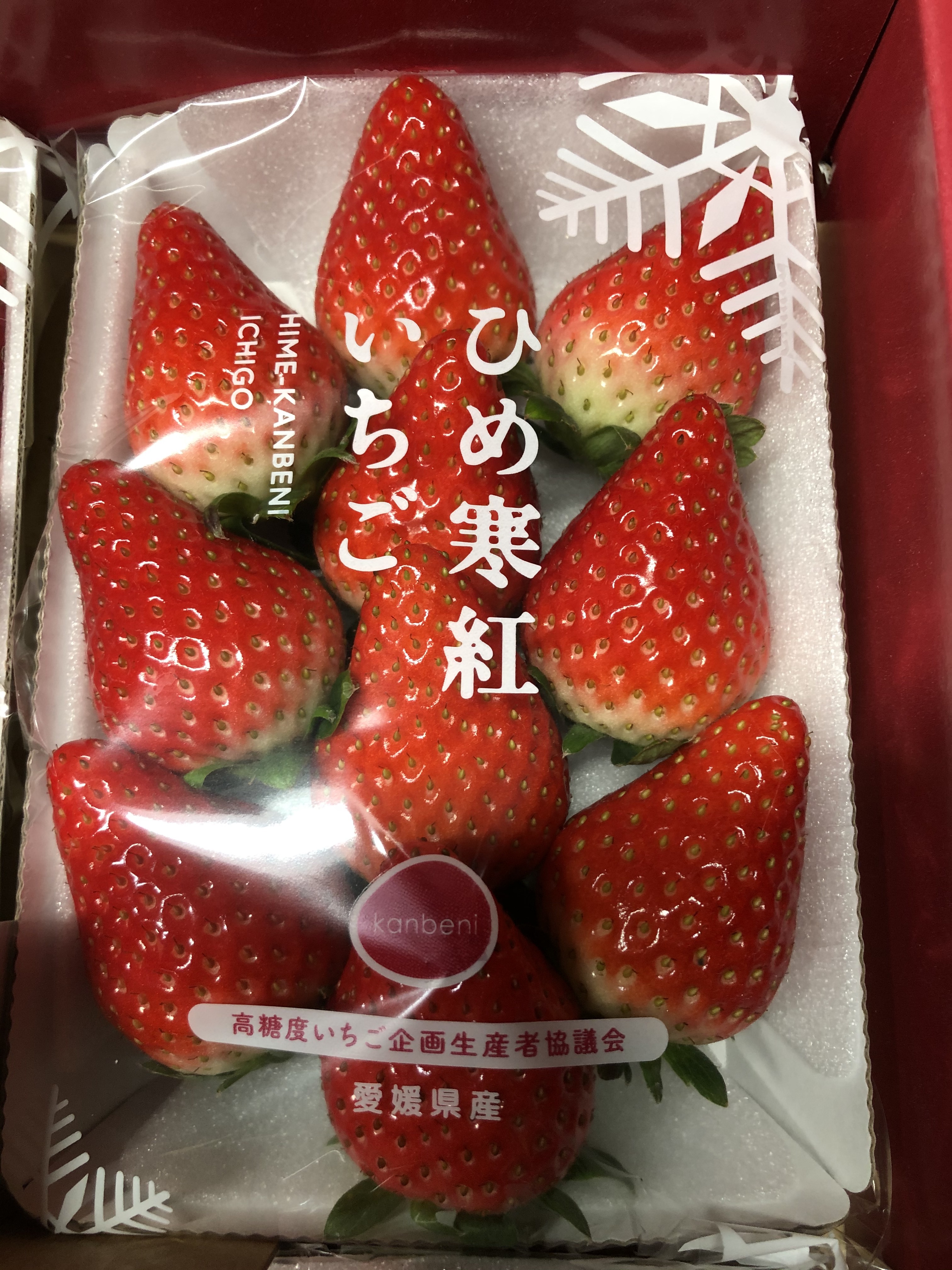 ついにあのいちごが！