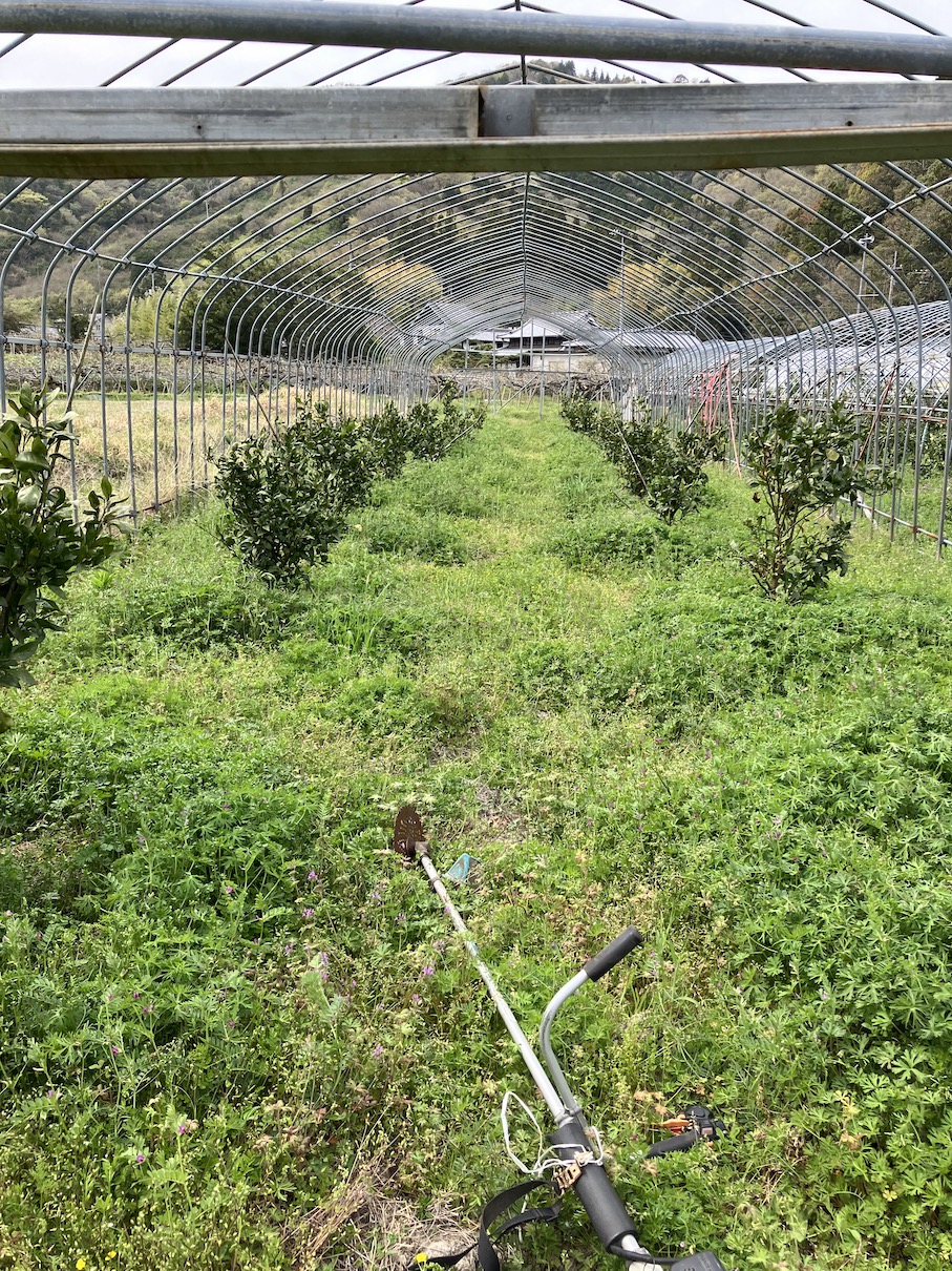 今年もこの季節が🧑‍🌾