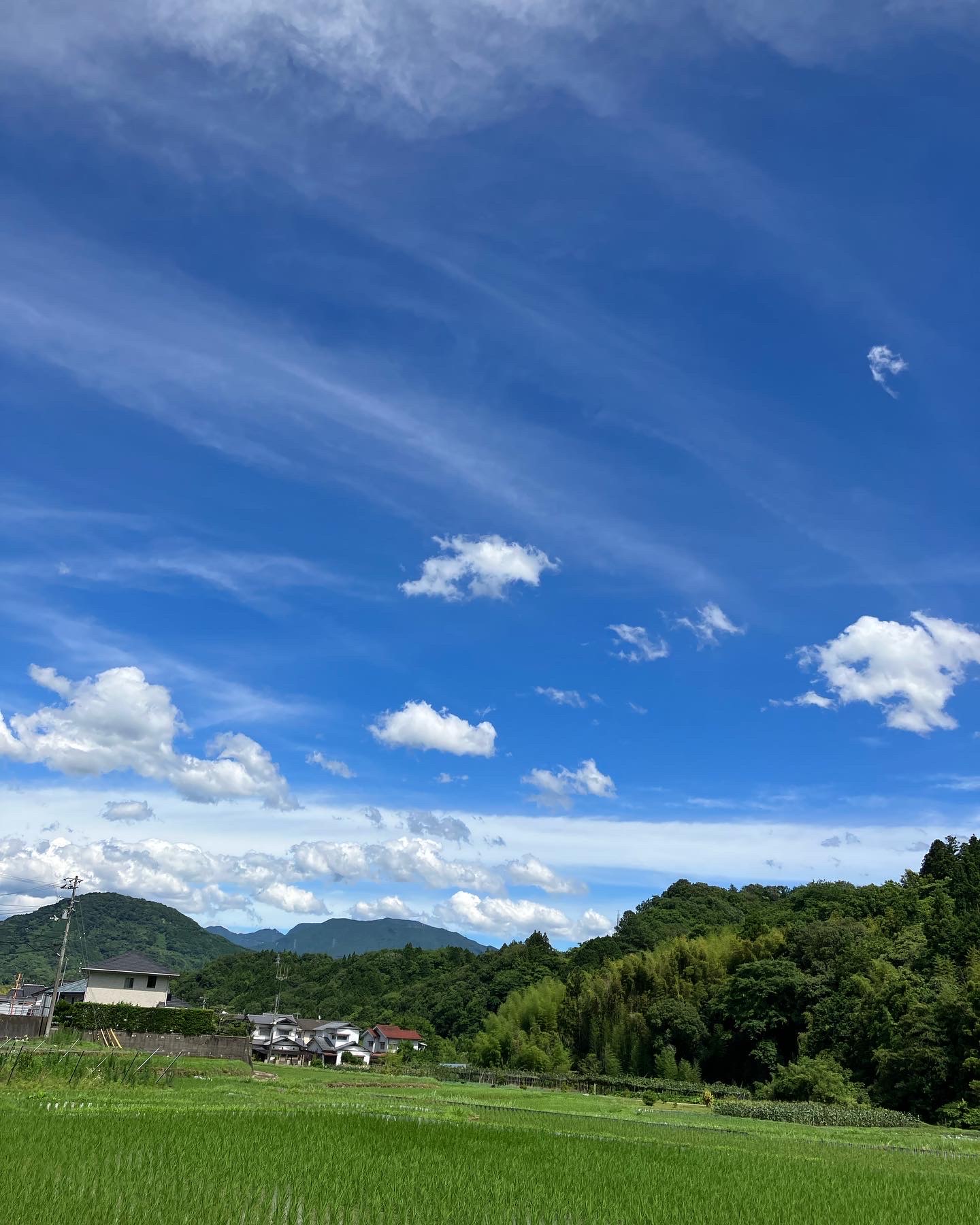 お盆休みも今日で終わり！