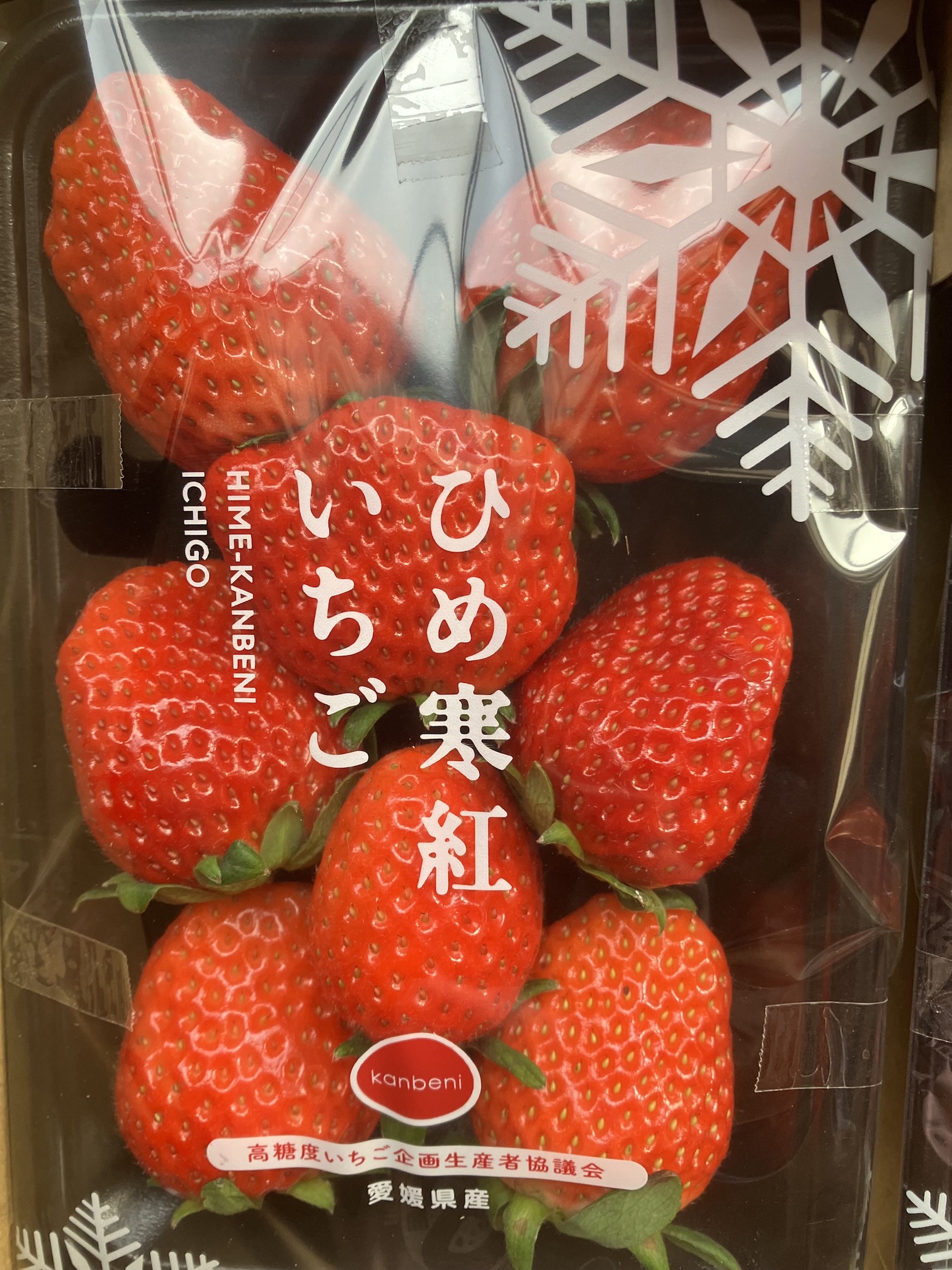 今年初🍓✨