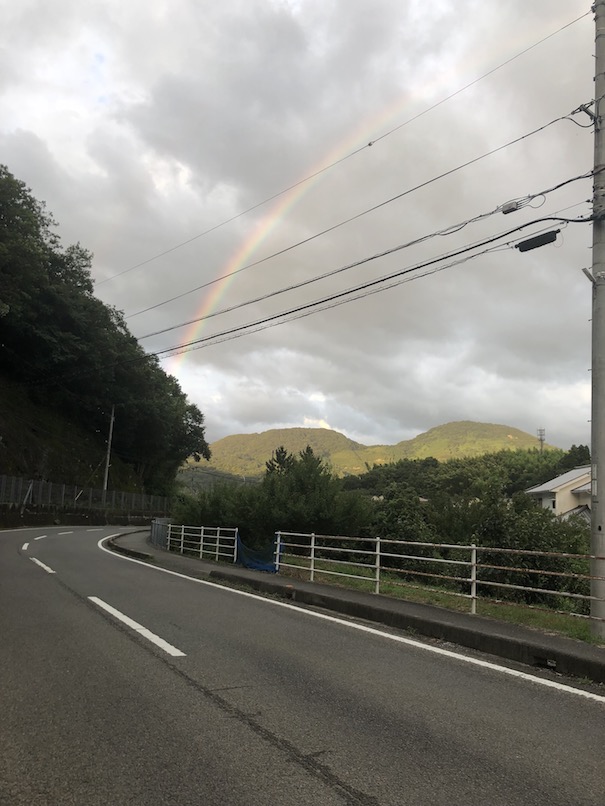 綺麗な虹