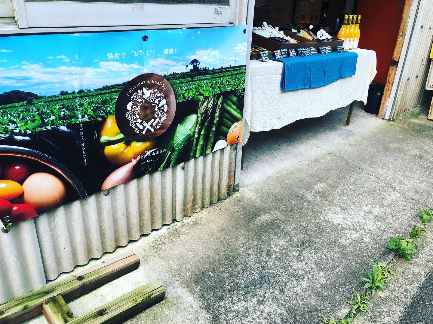 本日は電子食品openlaboの開催日です！