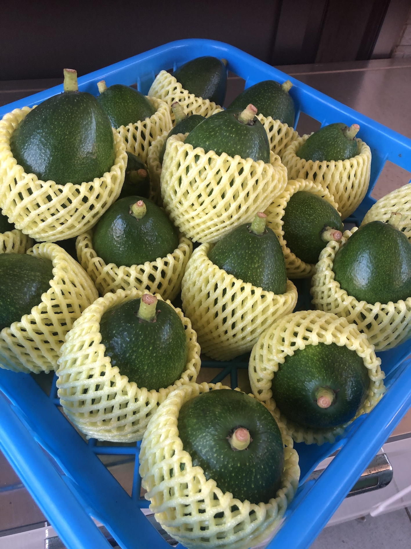 全国へ旅立っていきました🥑