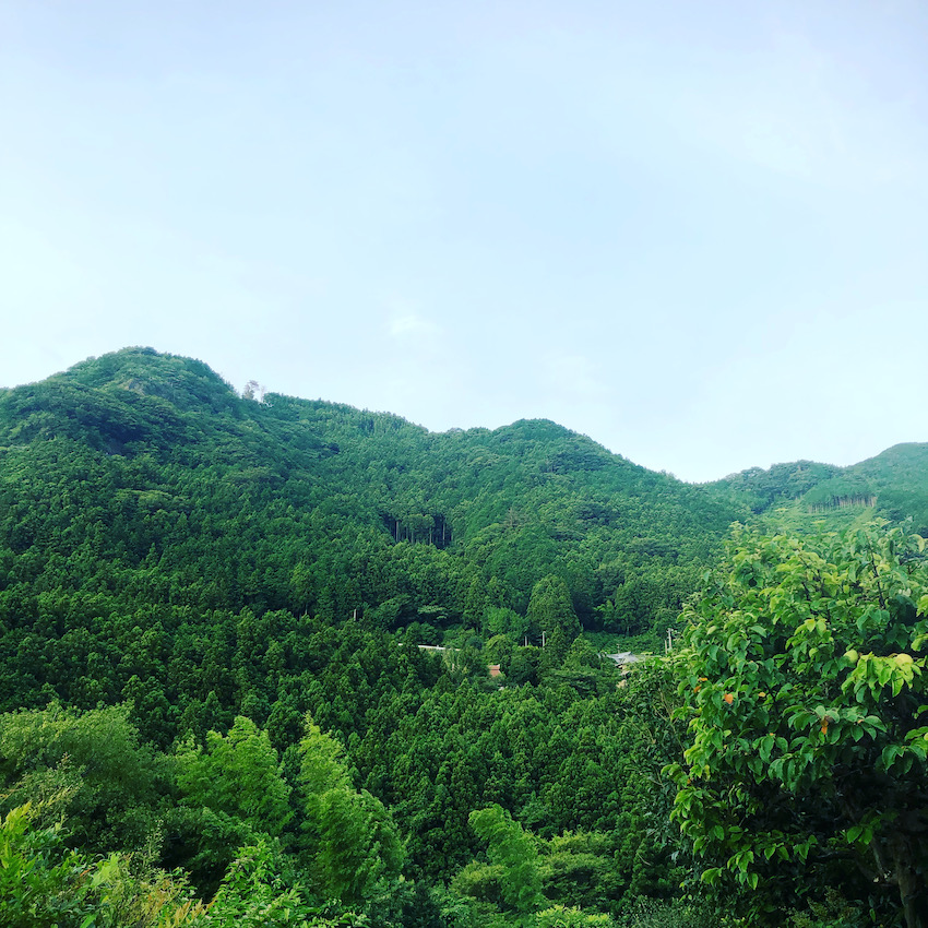 少しずつ晴れ間も見えてきました⛅️✨