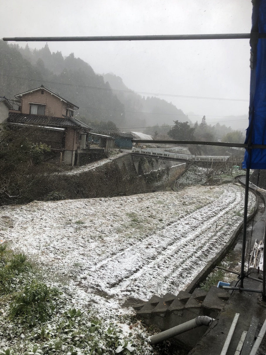 雪が降って来たぞー⛄️