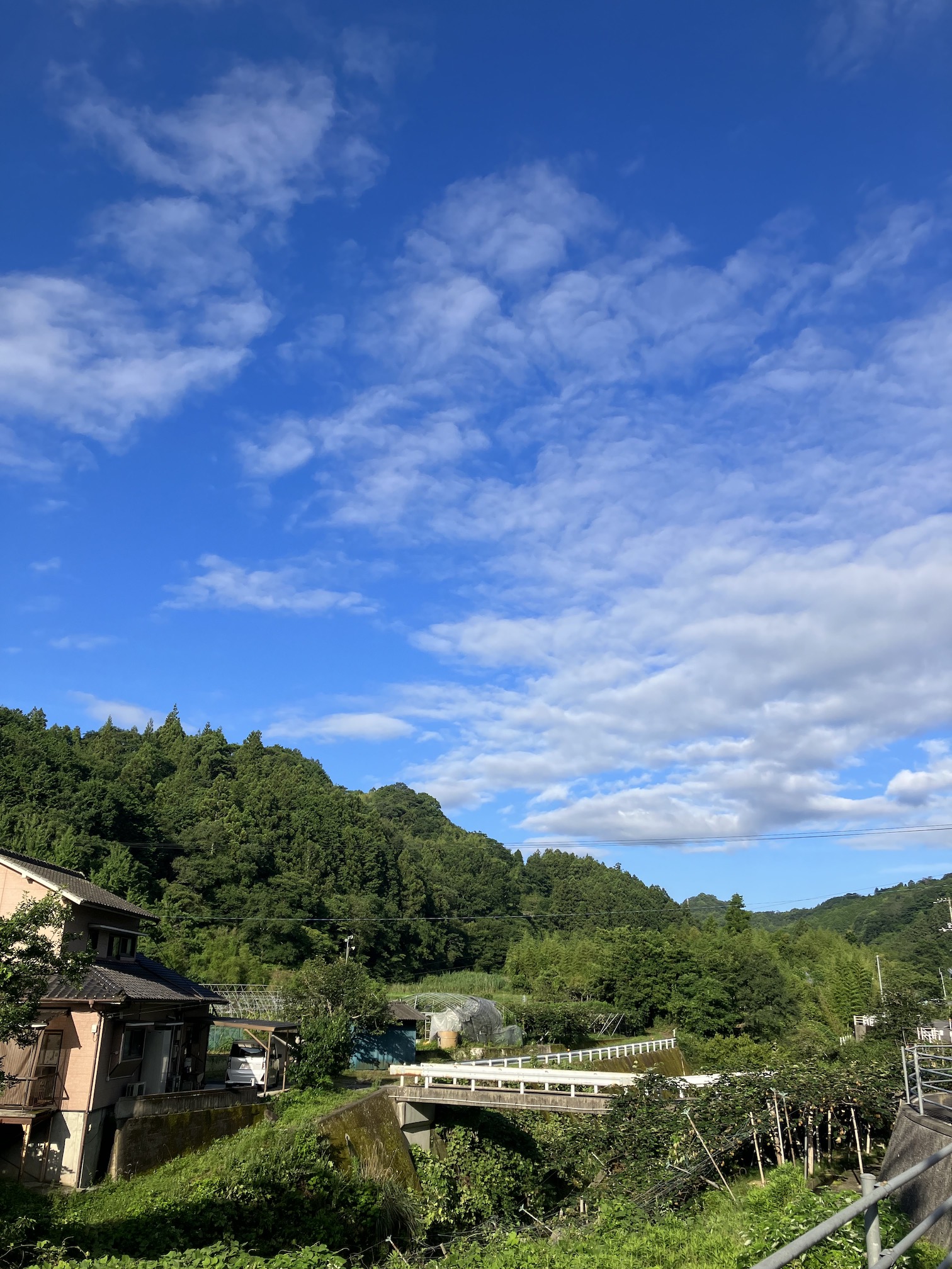 四国地方が梅雨明けしたとみられる