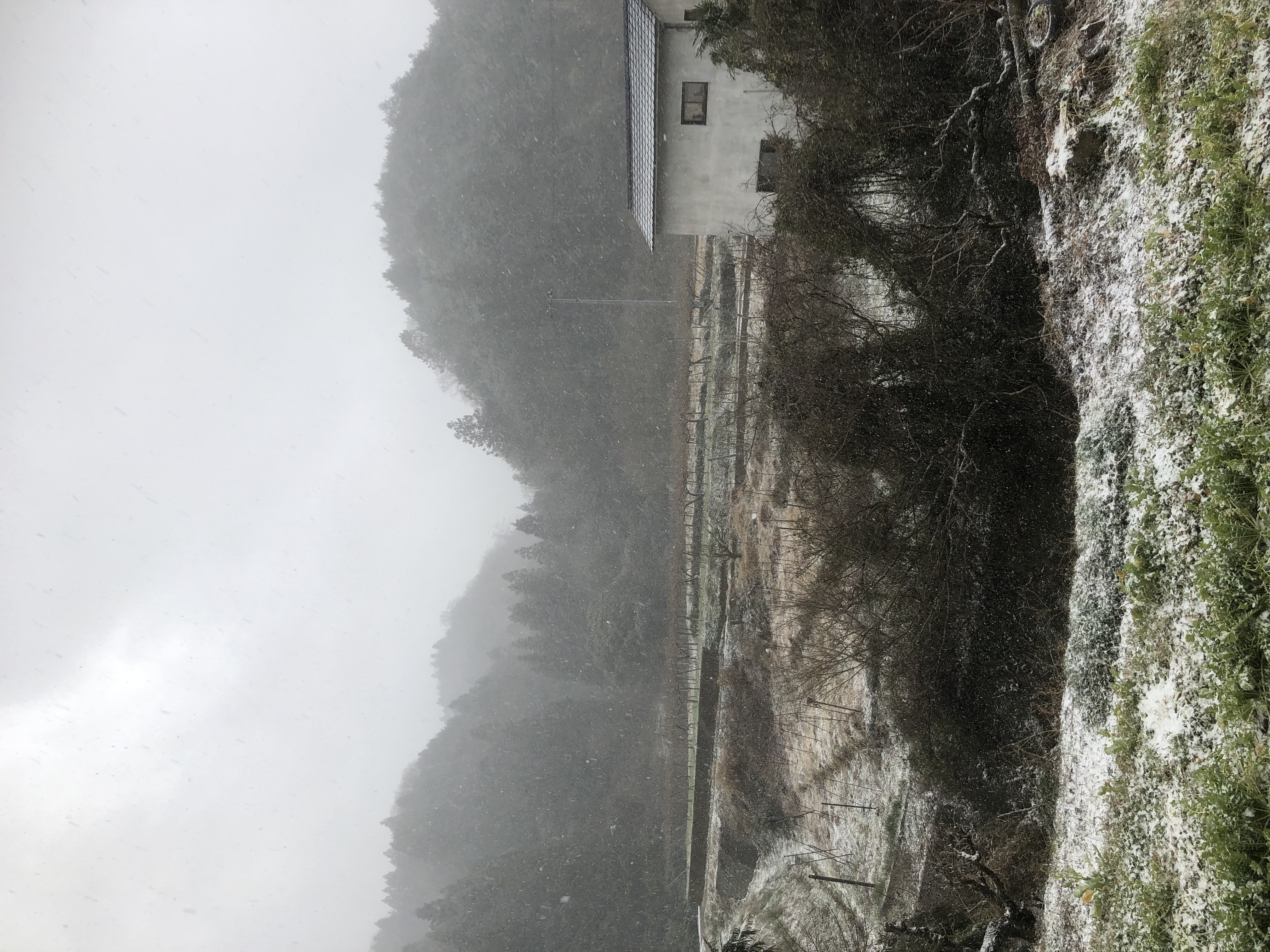 季節外れの⛄️