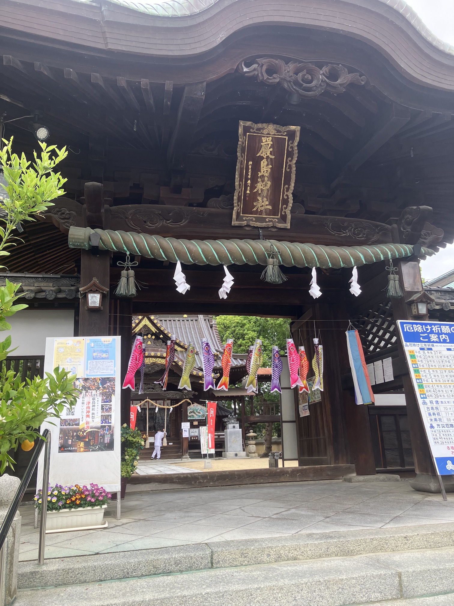 本日はいつくしマルシェに出店✨