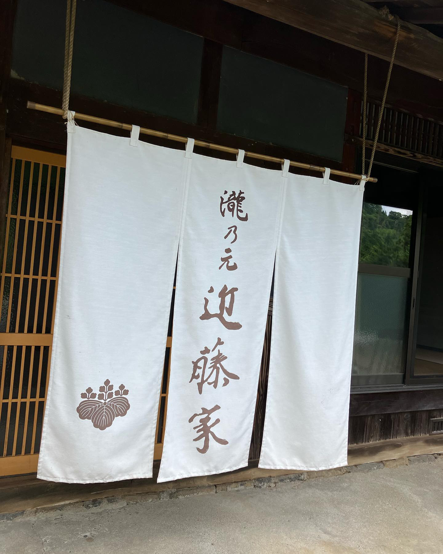 夏の後半に向けて🍜