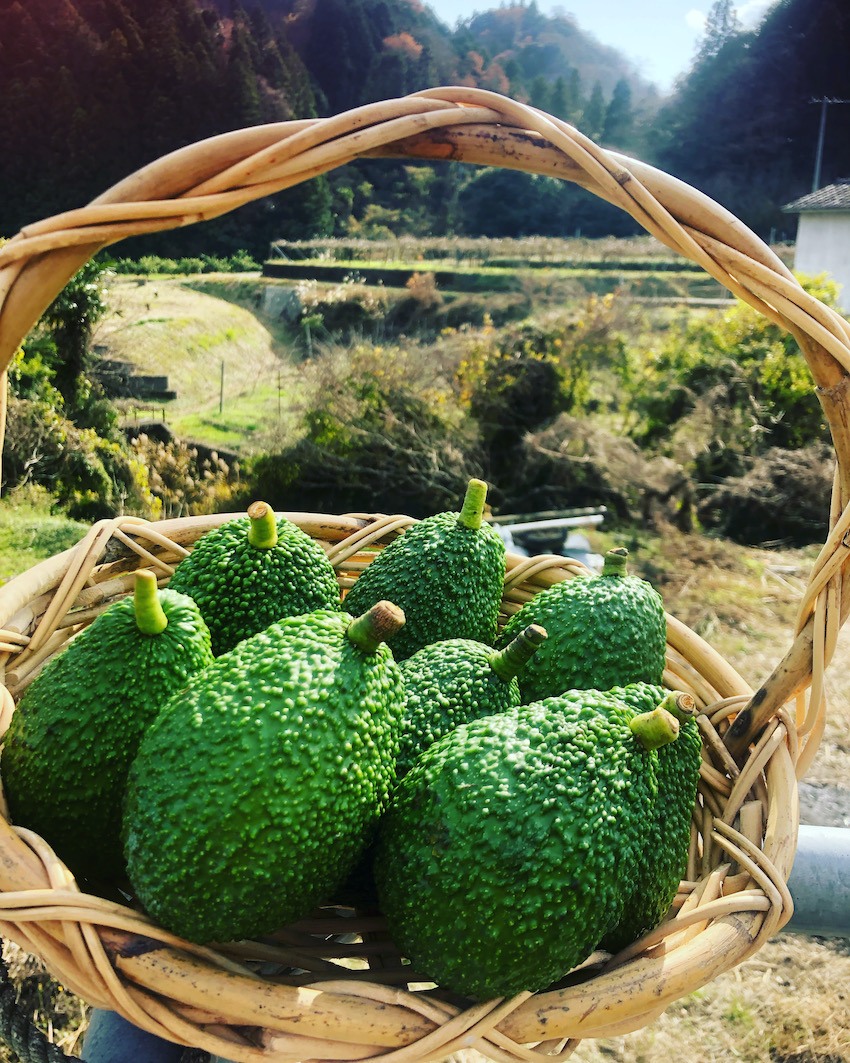 残り1点となりました🥑✨