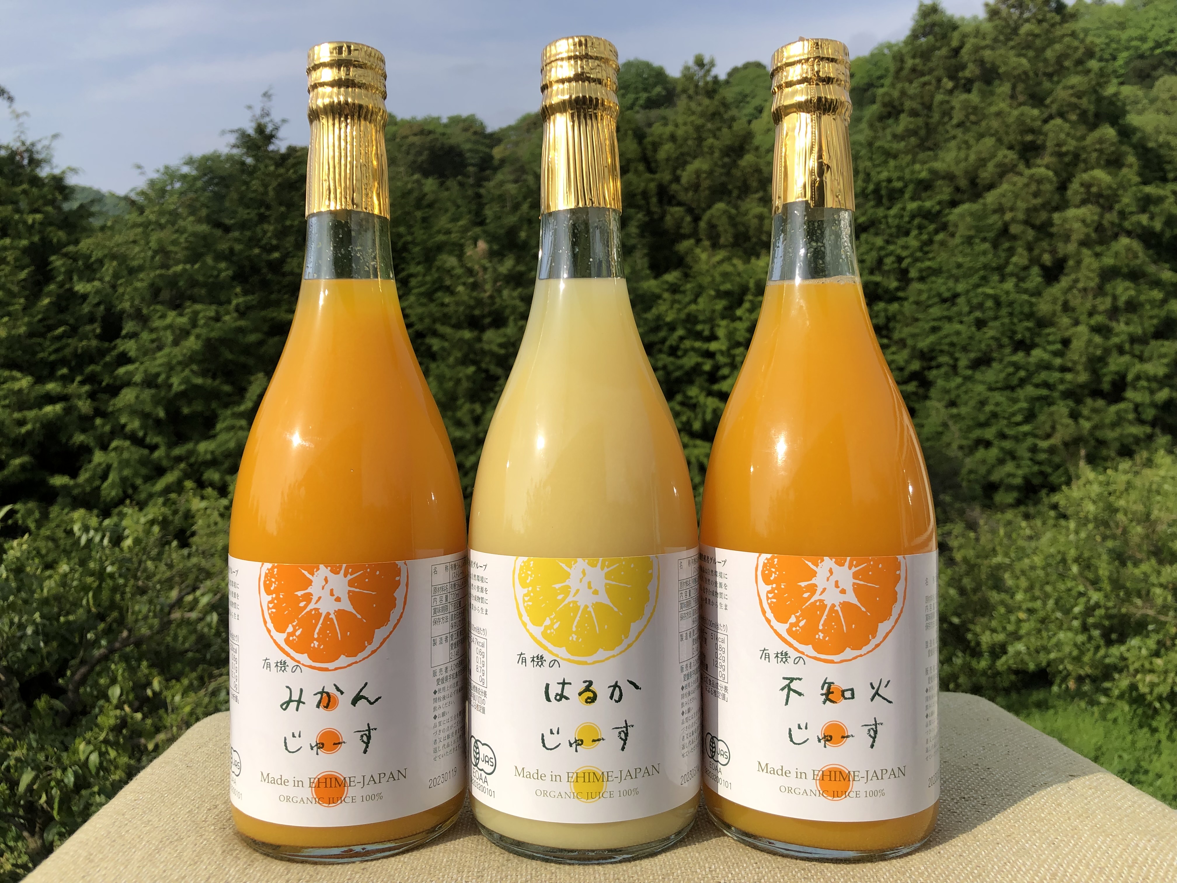 間も無く入荷🍊