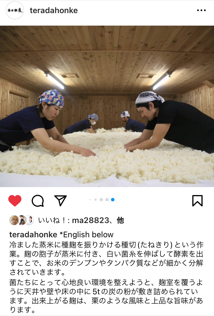 炭の力✨