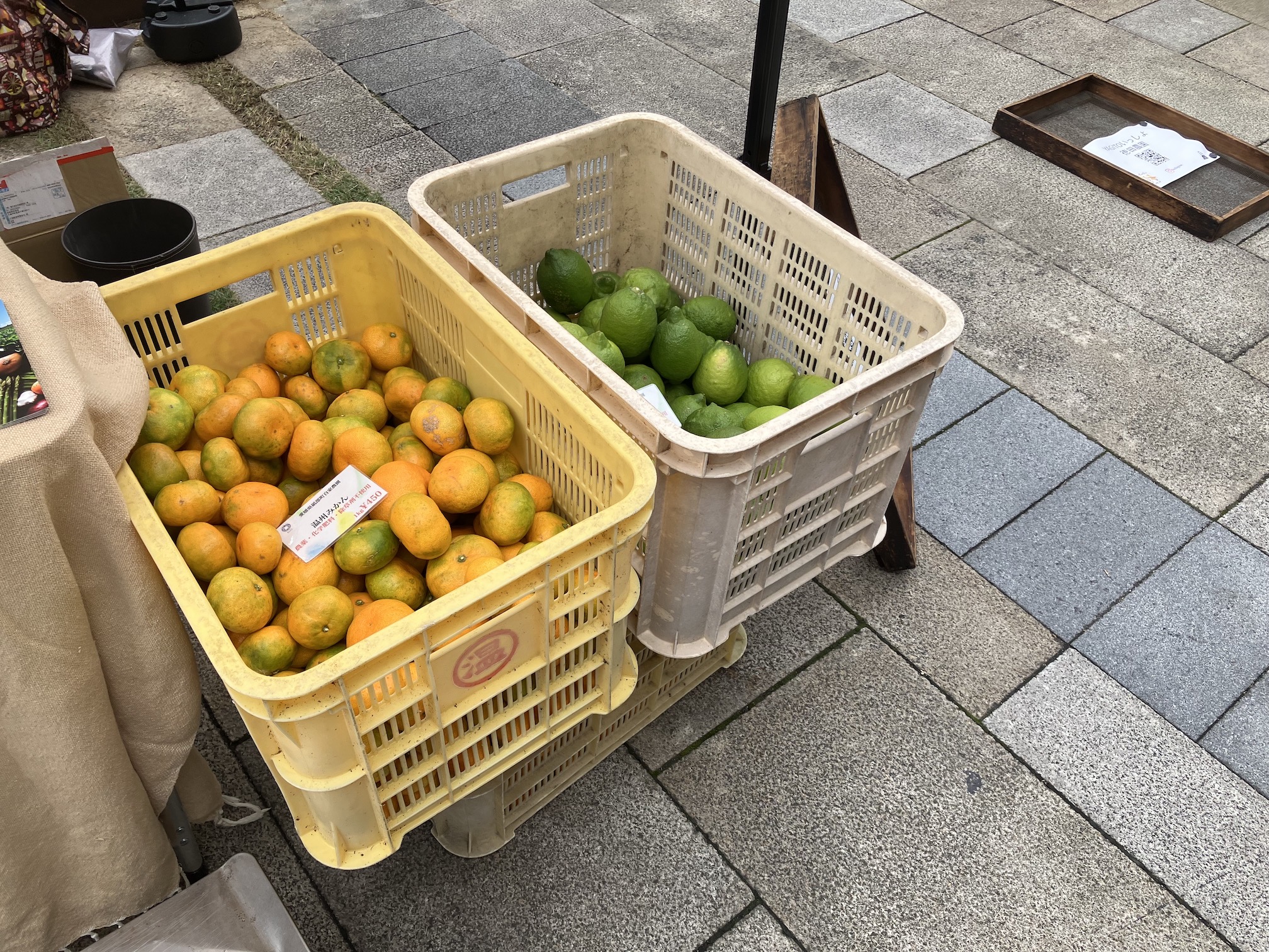 昨日はありがとうございました🍊🍋✨