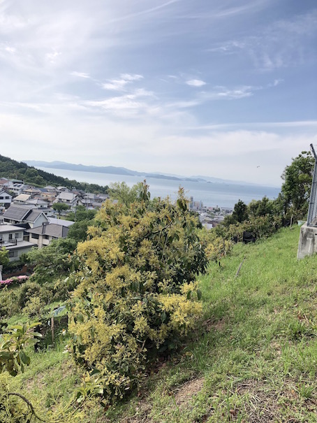 未知との遭遇Vol2