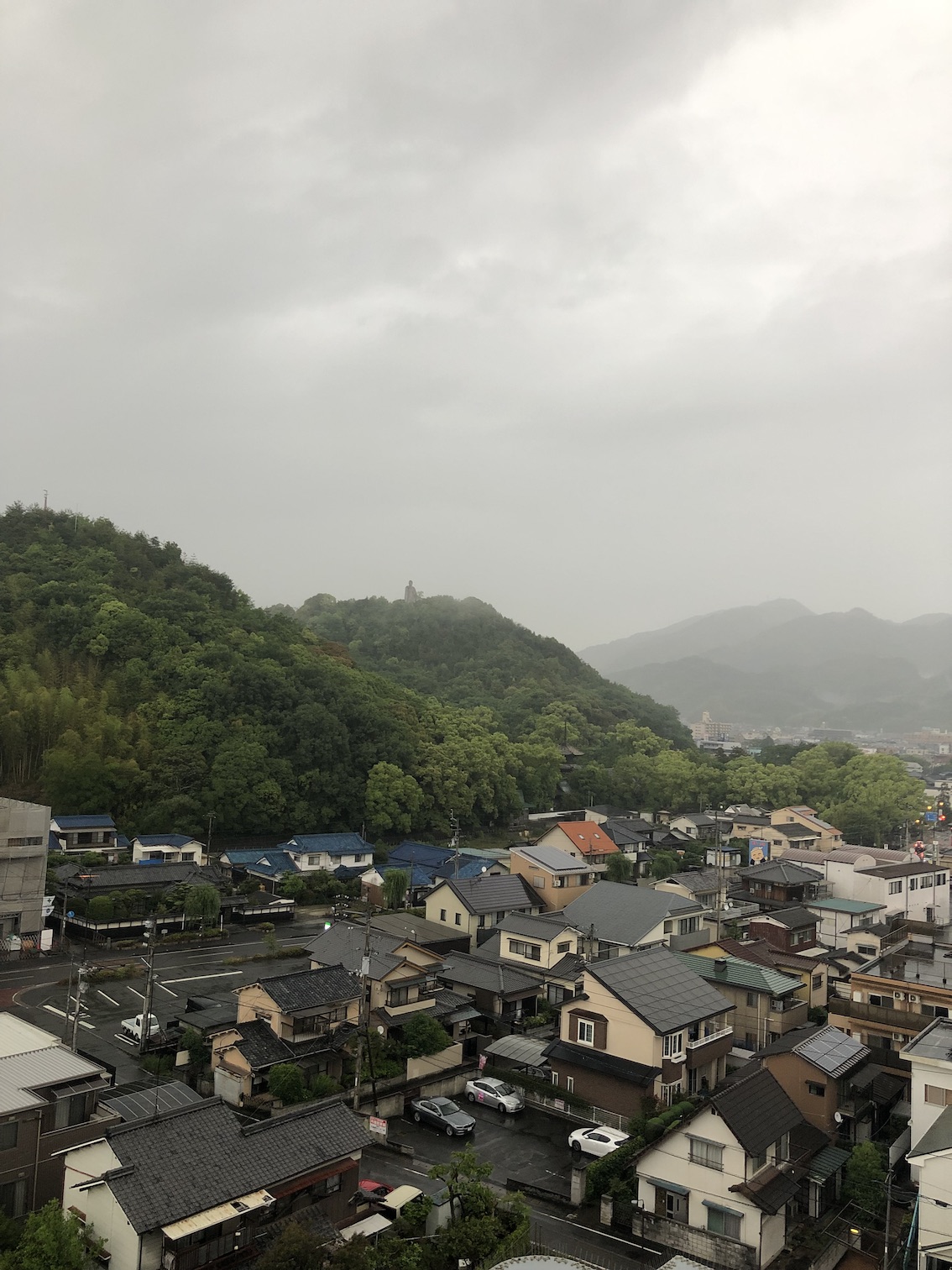 愛媛は梅雨入りしました🌂
