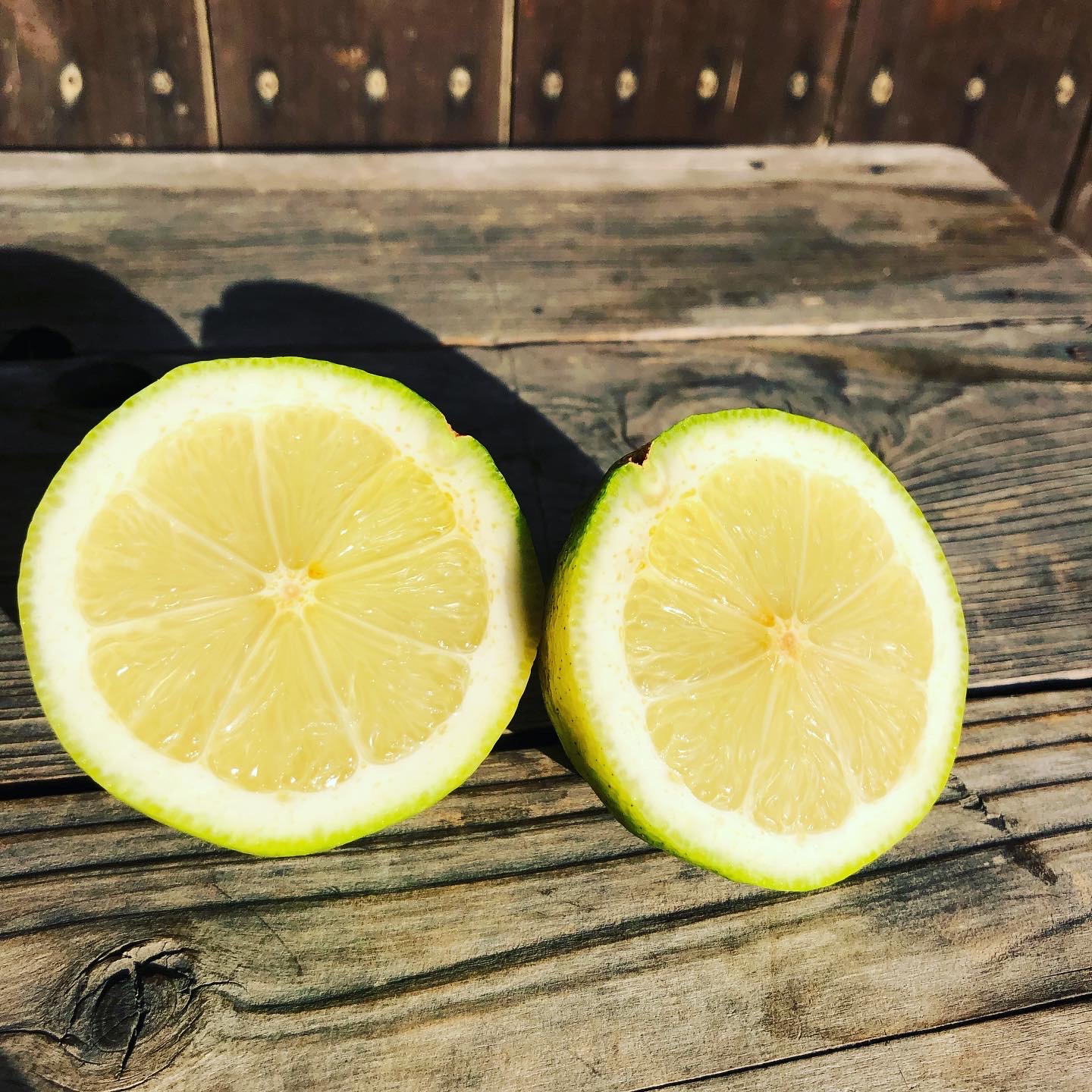 レモンは人気ですねー🍋