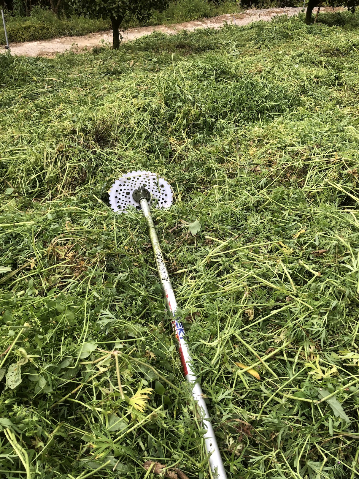 農作業は危険がいっぱい🐝🐍🐗🧑‍🌾