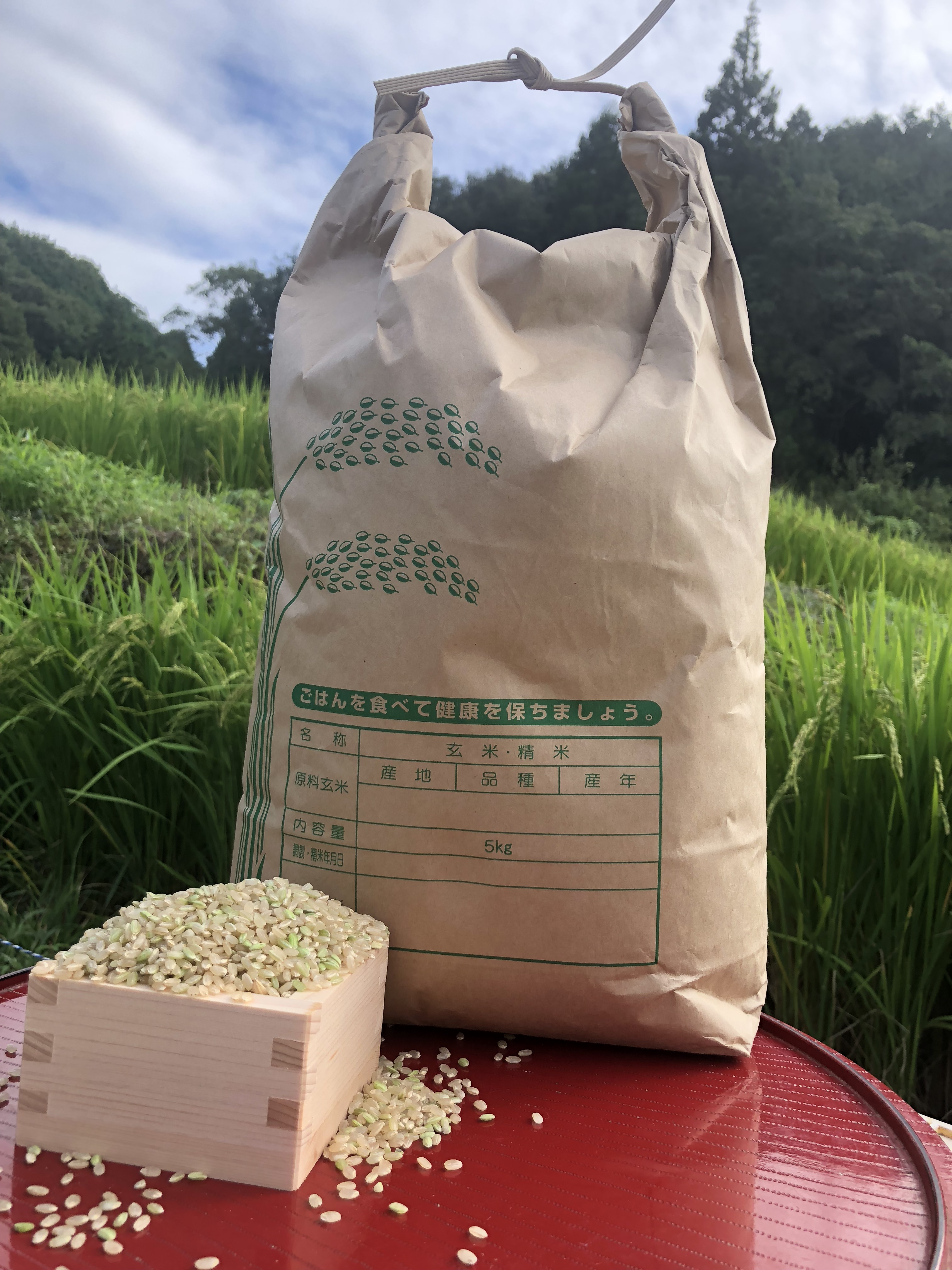 おいしいお米が一番！