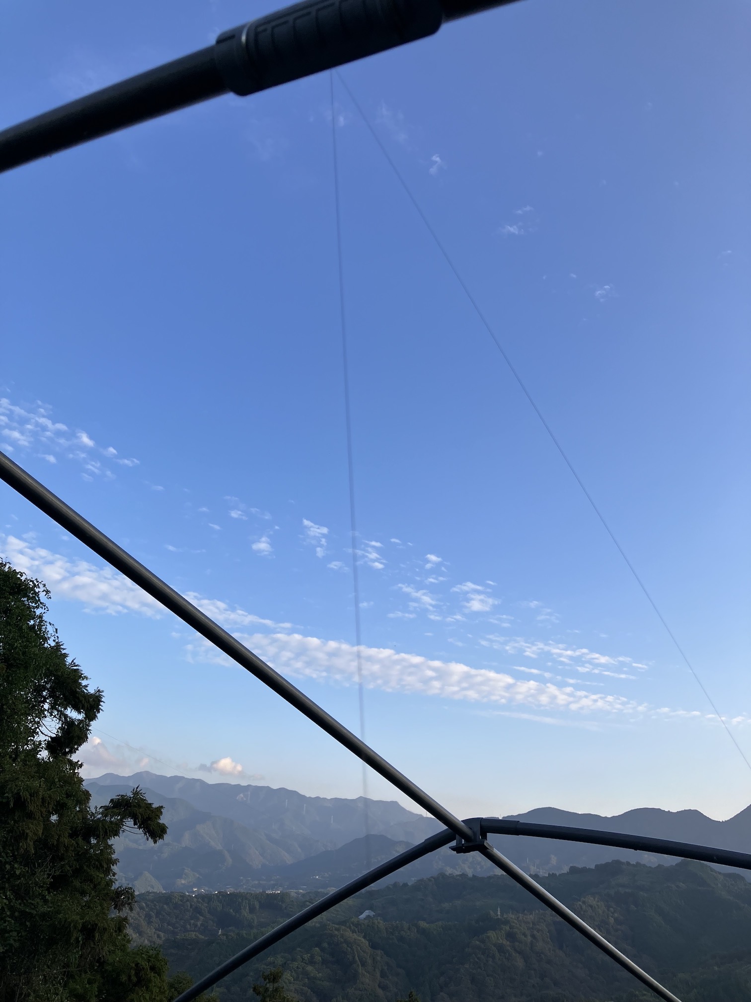 陸から空から🍊🐦‍⬛🐗