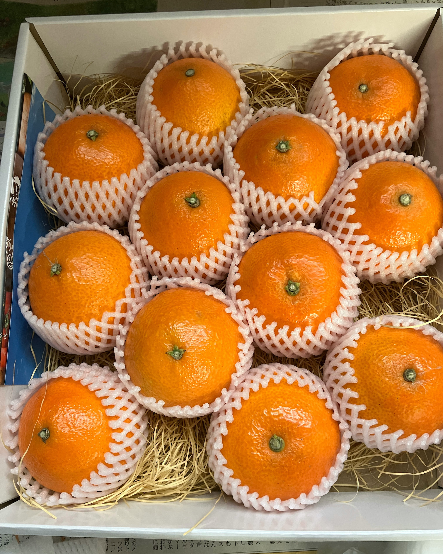 今年のお歳暮は決まりましたかー🍊