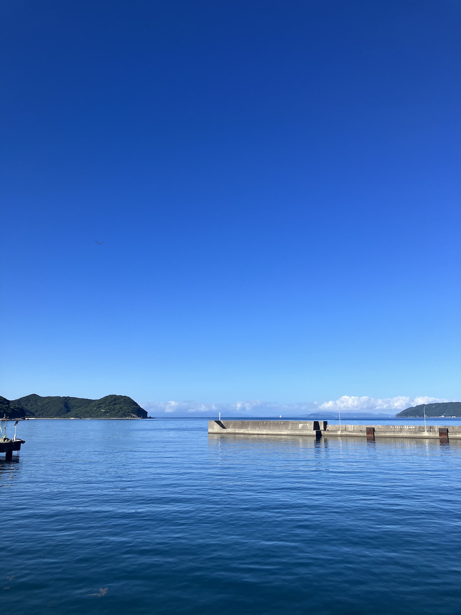 夏の海🏖️